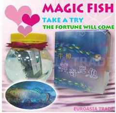 Magic Fish