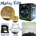 Magic Fish