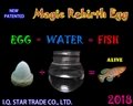 Magic Rebirth Egg