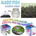 Magic Fish