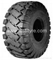 Triangle Tyre/Tire 19