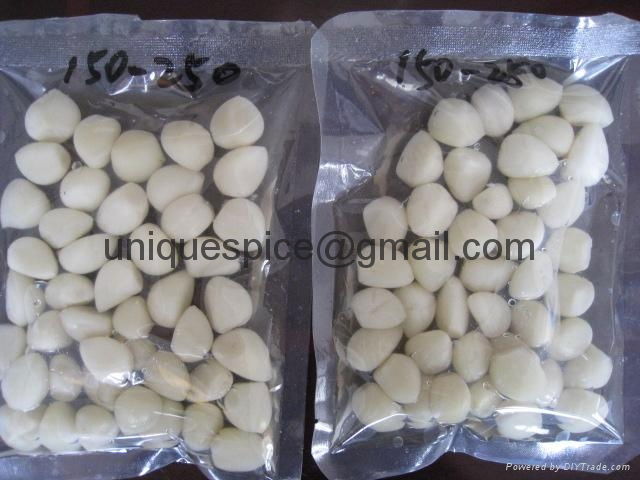 Garlic Cloves In Brine,Spec.150/250 pieces per one kg,Click for Large Photo