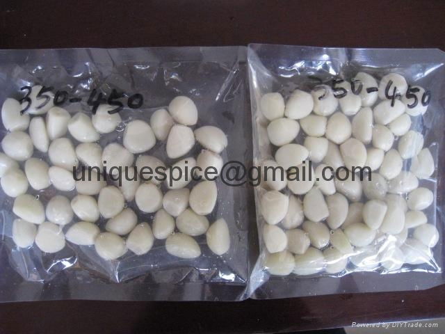 Garlic Cloves In Brine,Spec.350/450 pieces per one kg,Click for Large Photo 