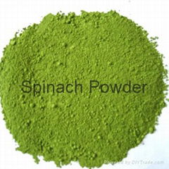 Spinach Powder