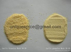 Garlic Granules(26-40MESH)