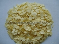 Garlic Flakes 2