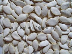 Snow White Pumpkin Seeds In Shell