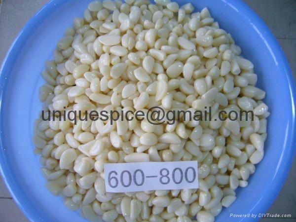 Garlic Cloves In Brine/Email:uniquespice@gmail.com(Click for Large Photo)  