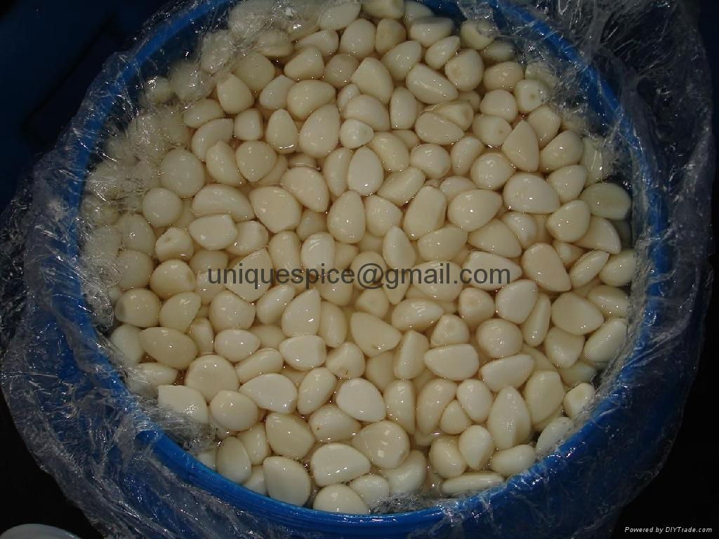 Garlic Cloves In Brine/Email:uniquespice@gmail.com(Click for Large Photo)  