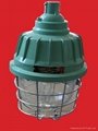 explosion proof lamp 1