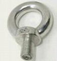 Stainless Steel DIN580 Eye Bolt