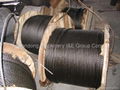 Steel Wire Rope