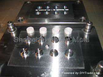 injection mold