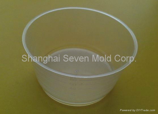 transparent molded container