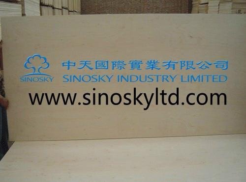 plywood manufacturer okoume face plywood,red face plywood