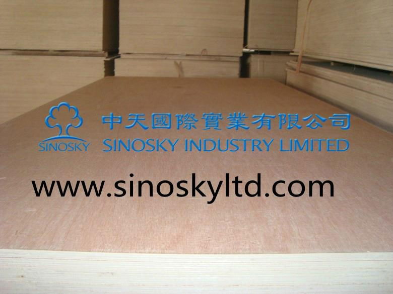 plywood china factory and manufacturer 2