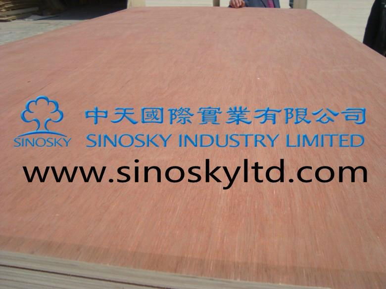 plywood manufacturer okoume face plywood,red face plywood 2