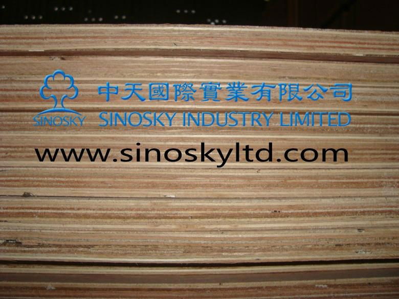 okoume plywood,bintangor face plywood,pine plywood,poplar plywood,hardwood  3