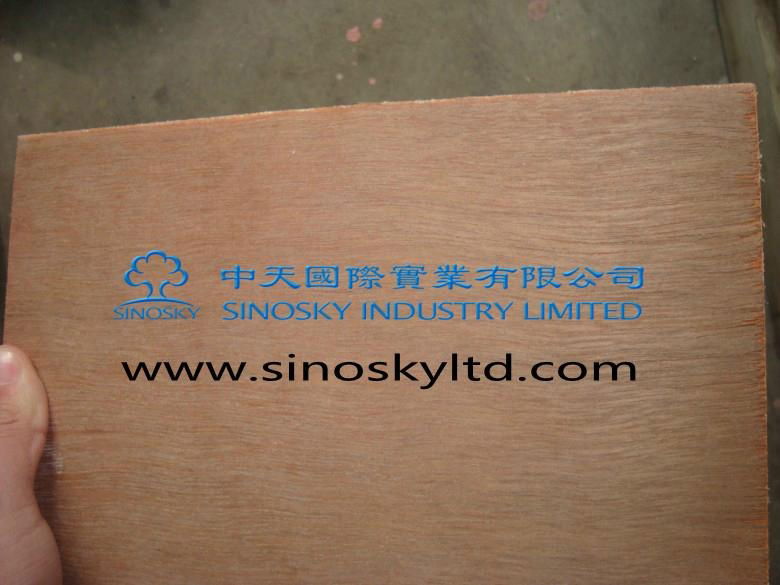 okoume plywood,hardwood plywood,red face plywood,china plywood factory 2