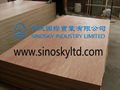 best quality commercial plywood 3