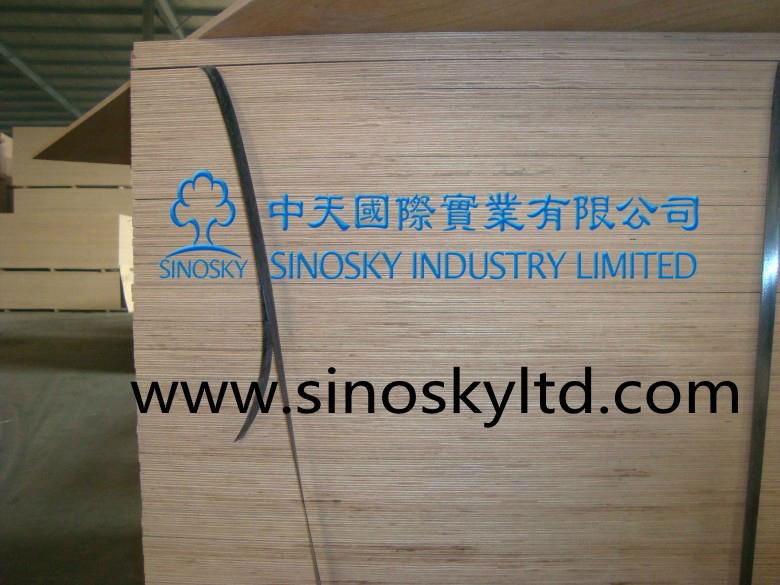 best quality commercial plywood 5