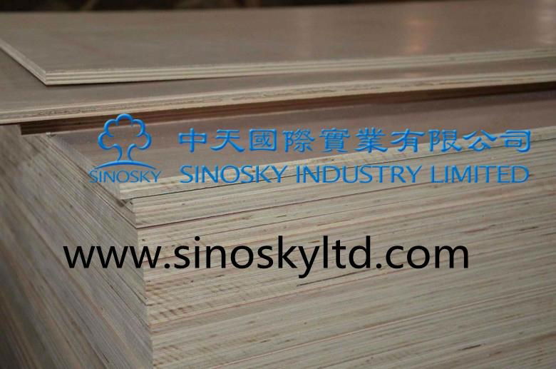 low price plywood 4