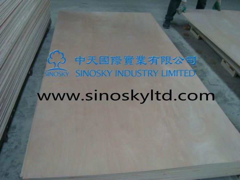 okoume plywood 5