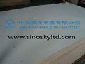 best quality plywood from china,low price 3