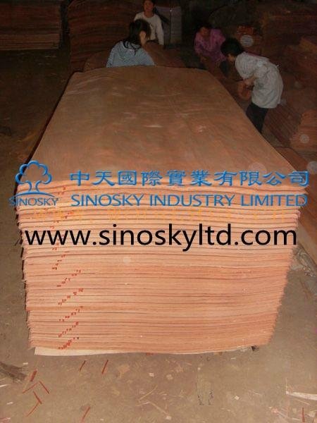 low price plywood,high quality plywood 4