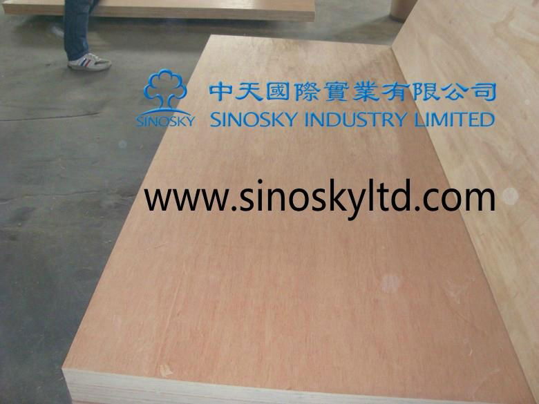 low price plywood,high quality plywood 5