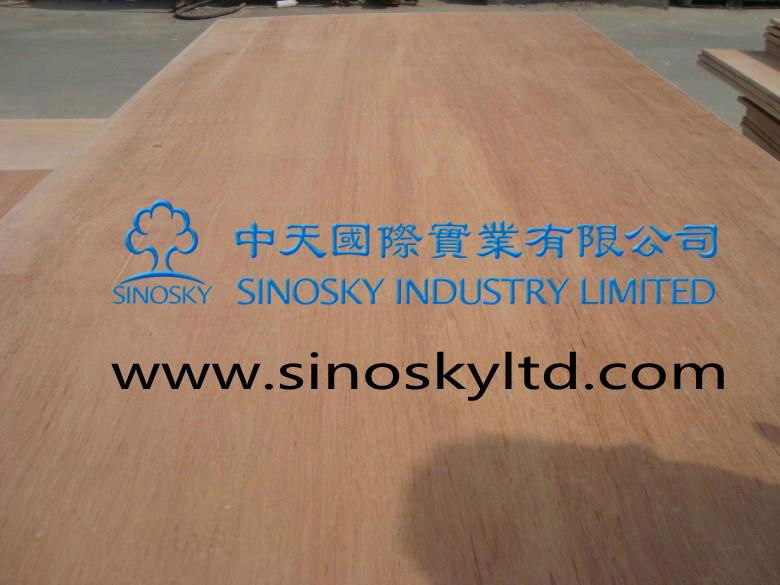 plywood manufacturer okoume face plywood,red face plywood 5