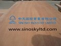 plywood manufacturer okoume face plywood,red face plywood 5