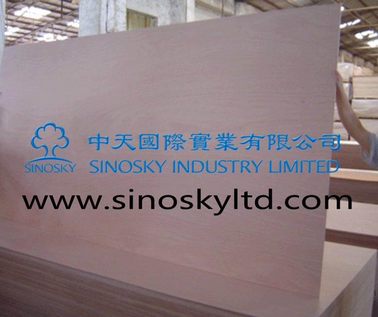 cheaper price plywood factory