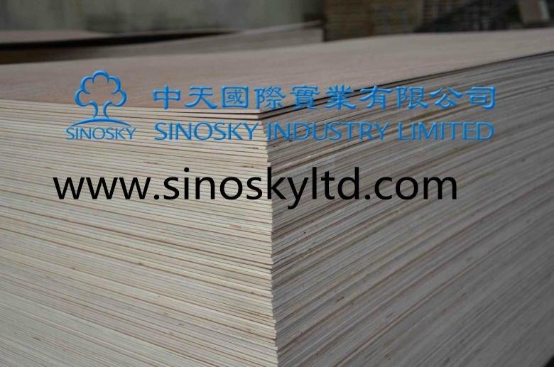 cheaper price plywood factory 3
