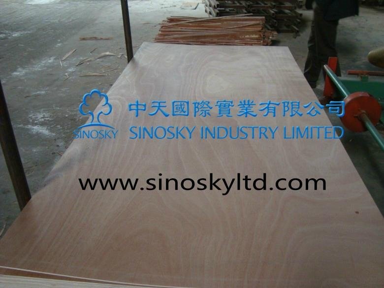 cheaper price plywood factory 5