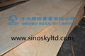 okoume plywood