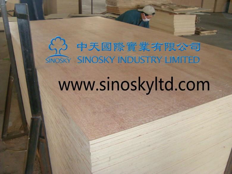 okoume plywood 3