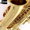 JYAS-E100G Alto Saxophone 5