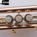 JYTR-M300 Fortified Model Trumpets 5