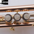 JYTR-M300 Fortified Model Trumpets