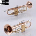 JYTR-M300 Fortified Model Trumpets 2