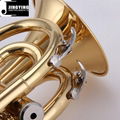 JYHT-E100 Entry Model Hand Trumpets