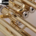 JYEU-E100 entry model 3-key Piston valve Euphonium