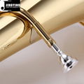 JYEU-E100 entry model 3-key Piston valve Euphonium