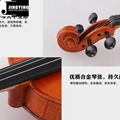 JYVL-P300 High Grade Violin