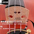 Over 20 years wood/Handcraft/Hand painting JYVL-P100 High Grade Violin