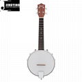 4 Strings Sapelli Banjo