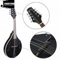 8 Strings Basswood Mandolin