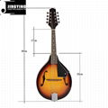 8 Strings Basswood Mandolin