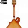 High-end Handmade Abnormity Mandolin